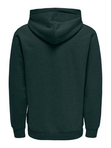 Only&Sons Weicher Kapuzen Pullover Basic Hoodie ONSCERES in Grün-4