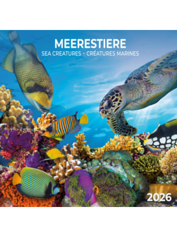 TUSHITA Kalender - Meerestiere 2026