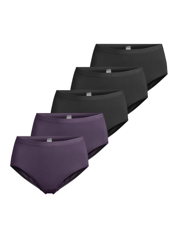 SPEIDEL Maxi Slip Everyday in Schwarz / lila