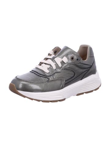 Xsensible Damen- Schnürschuhe Ponte Vecchio in Beige