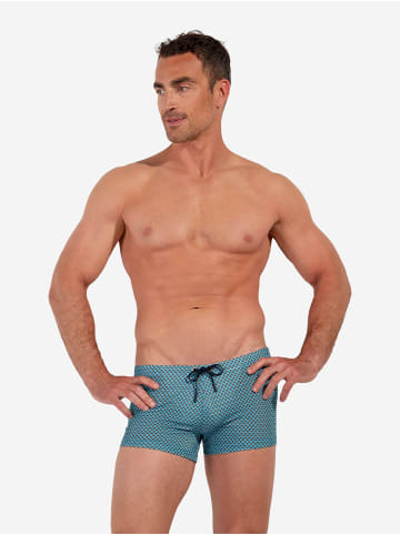 HOM Badeshorts Swim Shorts Cappuccino in blue print
