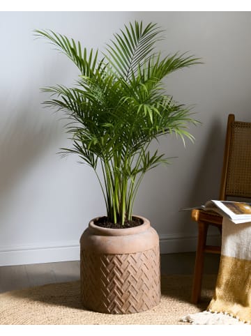 Beliani Outdoor Blumentopf GERAKAS in Beige - (W) 35 x (H) 36 x (L) 35 cm