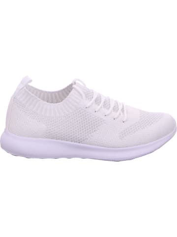 D.T. NEW YORK Schnürhalbschuh in weiß