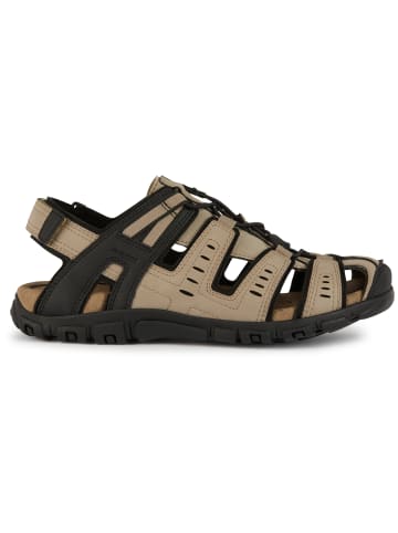 Geox Sandale in beige
