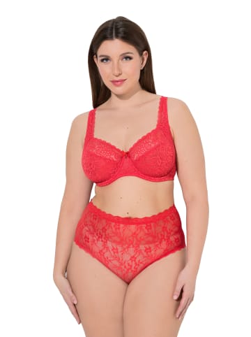 Ulla Popken Bügel-BH in fuchsiarot