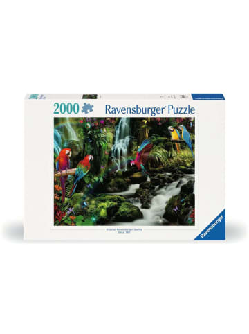 Ravensburger Ravensburger Puzzle 2.000 Teile Bunte Papageien im Dschungel in bunt