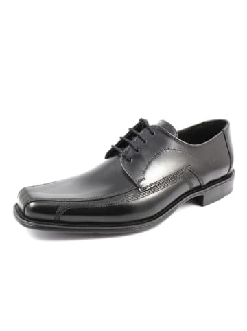 LLOYD Schnürschuhe in schwarz