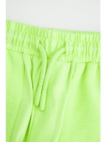 Coccodrillo Kurze Baumwollshorts in limonengrün