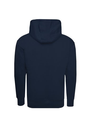 Tommy Hilfiger Kapuzenpullover Tommy Jeans Reg Linear in dunkelblau