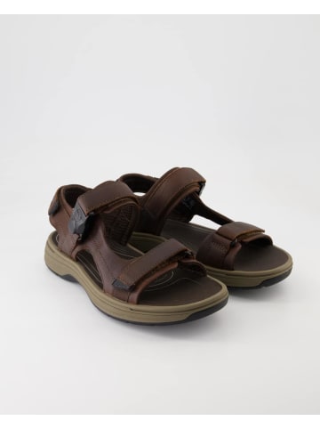 Clarks Sandalen in Braun