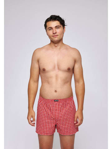 SNOCKS American Woven Boxershorts aus Bio-Baumwolle Small Check 3 Stück