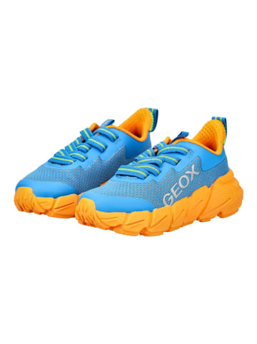 Geox Sneaker in Blau/Orange