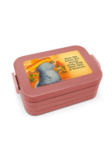 Mr. & Mrs. Panda Bentobox Axolotl Tequila Design mit Spruch in Rot Pastell