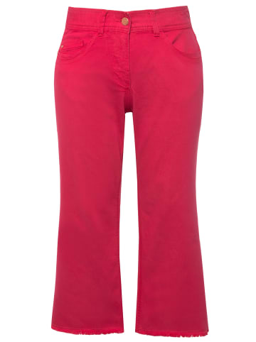 Ulla Popken Jeans in pink