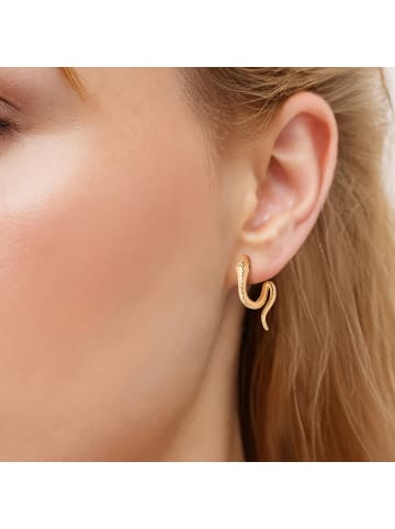 Yokoamii Creolen Schlange aus Messing mit Zirkonia in gelbgold