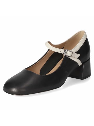 Högl Pumps / Ballerina in schwarz-kombi