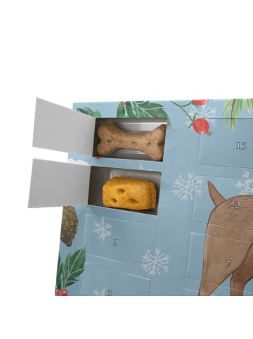 Mr. & Mrs. Panda Hund Adventskalender Hund Dogge mit Spruch in Eisblau