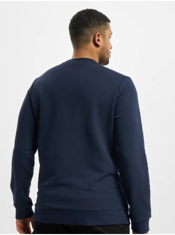 Reebok Hoodie in blue