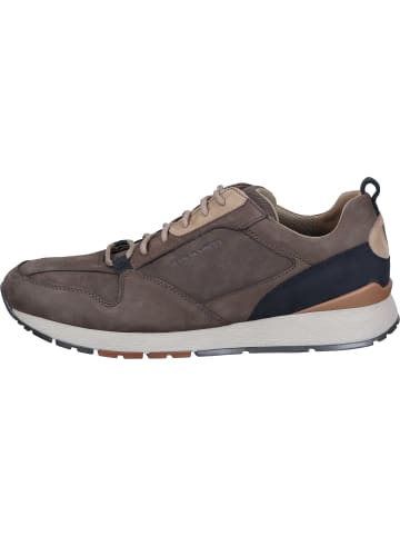 Pius Gabor Schnürschuhe in mocca