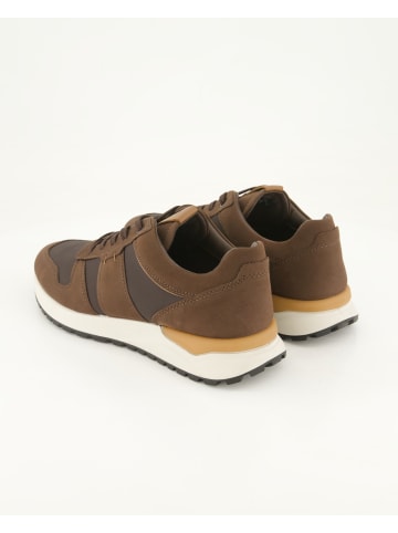 Ecco Sneaker low in Braun