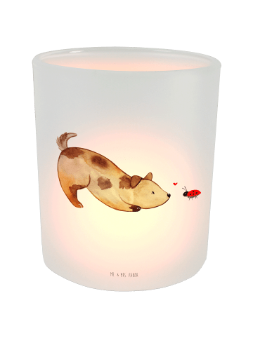 Mr. & Mrs. Panda Windlicht aus Glas Hund Marienkäfer ohne Spruch in Transparent
