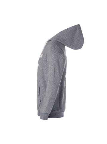 Puma Sweatshirt in Grau