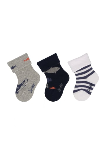 Sterntaler Baby-Socken 3er-Pack Hai in hellgrau mel.