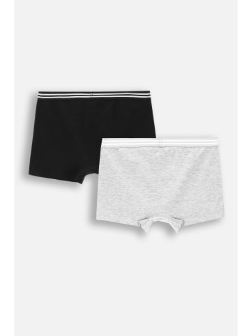 Coccodrillo Slip für Jungen in bunt