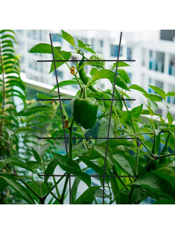 relaxdays 2 x Pflanzenstütze in Schwarz - (B)35 x (H)79 cm