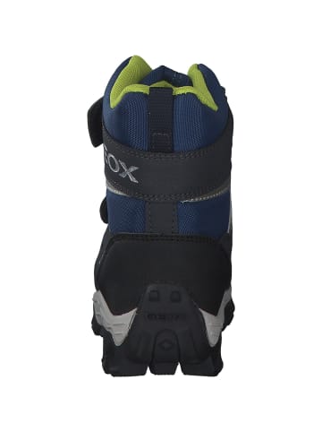 Geox Stiefeletten in navy/lime