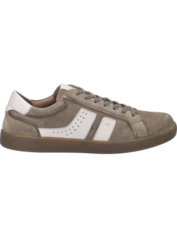 Josef Seibel Sneaker Lio 07 in beige