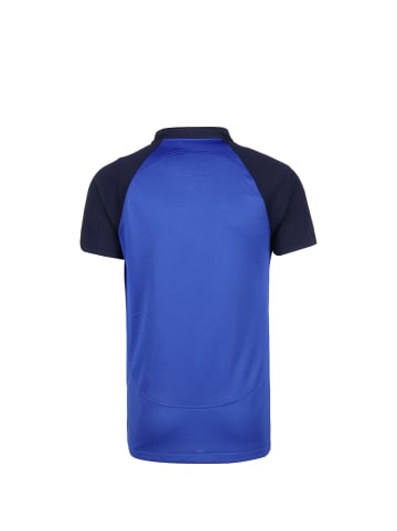 Nike Performance Poloshirt Academy Pro in blau / dunkelblau