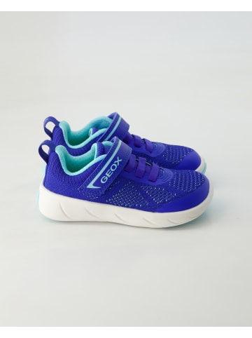 Geox Barfußschuhe in Blau