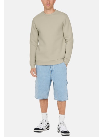 ONLY & SONS Sweatshirt Ceres in Dunkelblau / beige