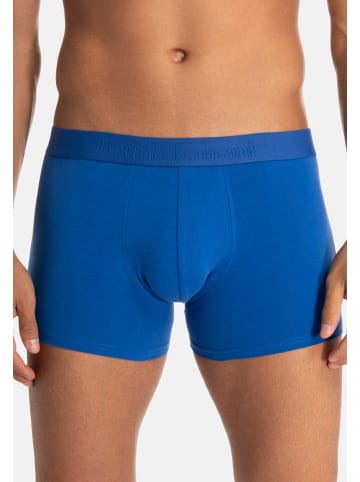 Bruno Banani Retro Short / Pant Flowing in Blau / schwarz