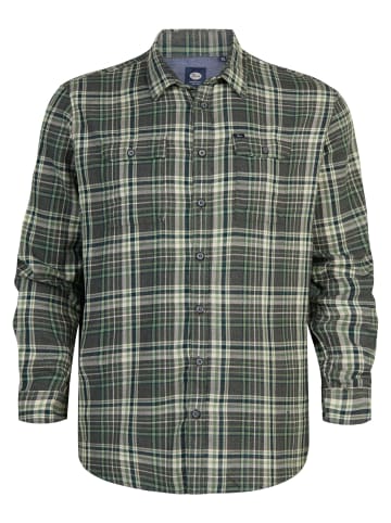 Petrol Industries Karierte Hemd Plus Size Bristol in Grün