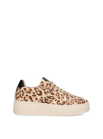 Haboob HABOOB AURELIE Damen Sneaker