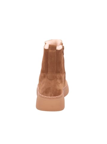 Gabor Stiefel in beige/beige