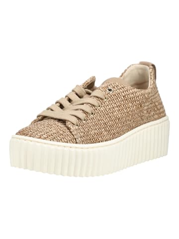 Gabor Sneaker in Sand