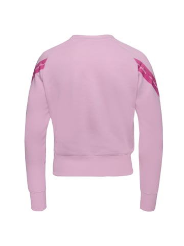 Champion Sweatshirt Hooded in pink