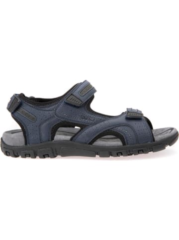 Geox Klassische Sandalen in Navy/dk Grey