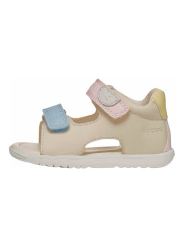 Geox Sandalen in Ivory