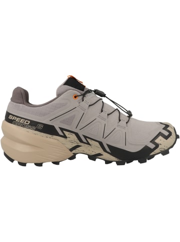 SALOMON Laufschuhe Speedcross 6 GTX in grau