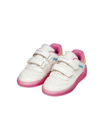 Geox Scratch Junior Washiba Sneakers Weiß