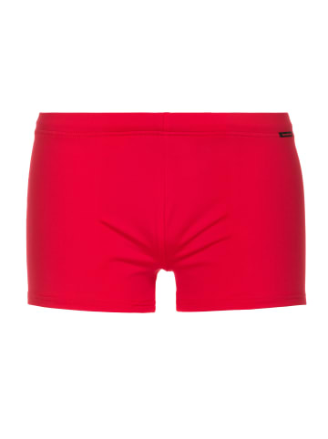 Bruno Banani Badehose / Pant Wave Line 2.0 in Rot