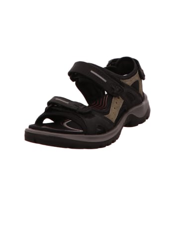 Ecco Sandalen/Sandaletten in schwarz
