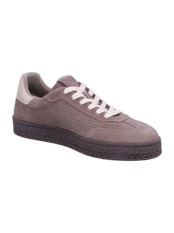 Tamaris Herren Halbschuhe  in Beige