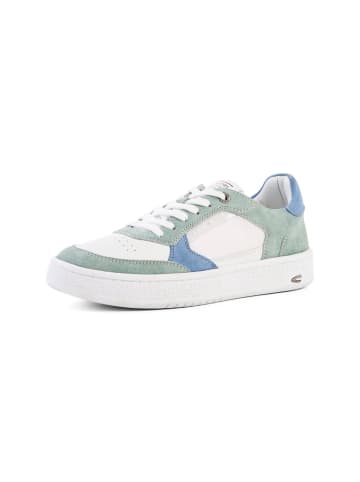 Camel Active Low Sneaker mit Leder Mix in Weiß