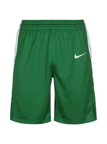 Nike Performance Funktionsshorts Team Stock 20 in grün / weiß