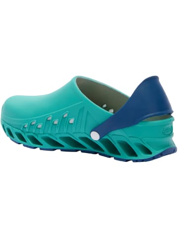 Scholl Clog Evoflex in grün in grün